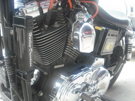 ขายสปอร์ตสเตอร์xl1200cพร้อมทะเบียนราคา430,000บาท