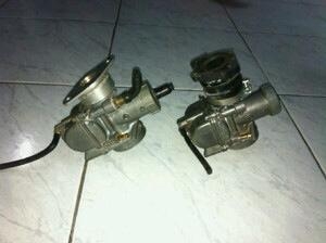 ขาย คาบู Npro แท้ ๆ 2 ลูก ลูกละ 1200