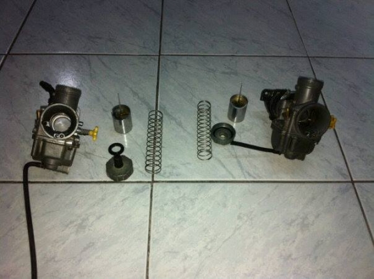 ขาย คาบู Npro แท้ ๆ 2 ลูก ลูกละ 1200