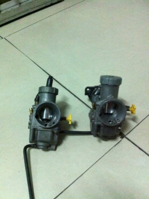 ขาย คาบู Npro แท้ ๆ 2 ลูก ลูกละ 1200