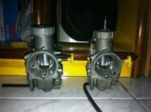 ขาย คาบู Npro แท้ ๆ 2 ลูก ลูกละ 1200