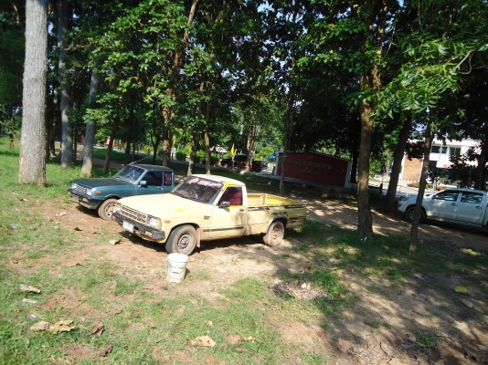 ม้ากระโดด เดิมๆๆๆ 38000