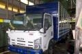 ขาย Isuzu NQR (ไม่มีเครื่อง+เกียร์)