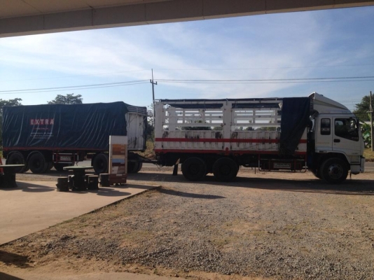 ขายสิบล้อ เดก้า 320 แม่ลูก ยูโร  2 ปี 51คอกเกษตร ไม่ดั้ม รถสวย เอกสารพร้อมโอน