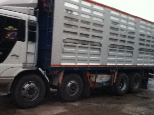 ขายด่วน hino profia ขายด่วน hino profia