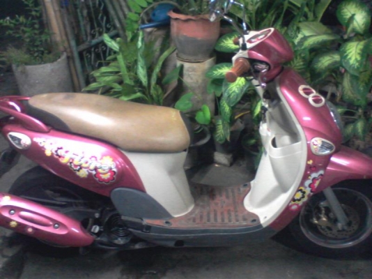 ฟิโอเร่วิ่ง1000โล