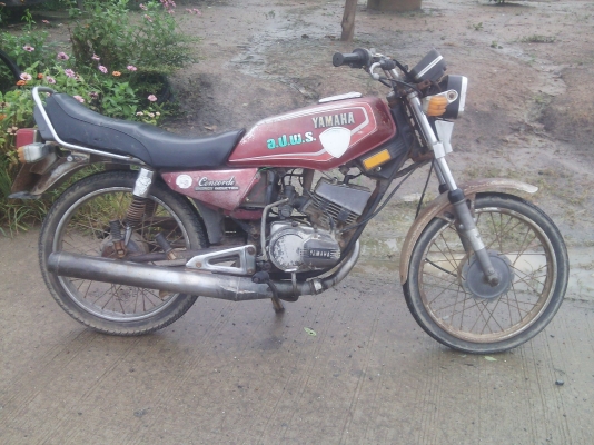 ขายคอนคอร์ด