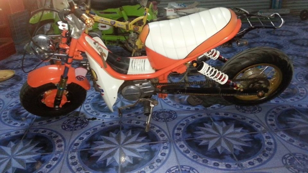 ขายชิปปี้สวยๆ แนวๆ เครื่องดีมคับ แนวๆไม่เหมือนใครคับ ขายเพราะ ขายชิปปี้สวยๆ แนวๆ เครื่องดีมคับ แนวๆไม่เหมือนใครคับ ขายเพราะ