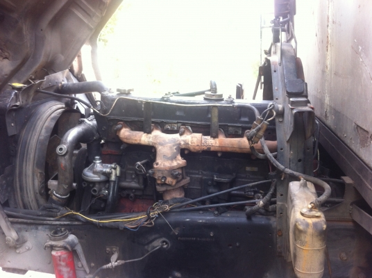 ขายด่วน นางฟ้า240 แท้ๆ