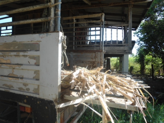 ขาย  อิชุชุ  เดก้า  195   ยูโร1กระบะสะเเตลเลสห้างแท้  สวยจัดมากๆไมแท้วิ่ง18xxxx