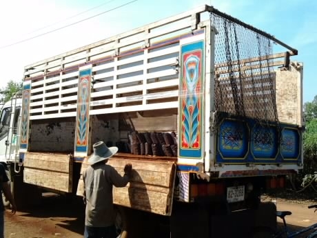 ISUZU DECA FTR 195 HP 6HE1 หกล้อดั๊มพ์ กระบะดั๊มพ์เหล็กคอกเกษตร 12 ตันยาว 5 เมตร รถสวยมากๆครับ เครื่องดี ภายในครบ แอร์ พวงมาลัยเพาเวอร์ เบรคทริ๊ปฟี้ ช่วงล่างคัชซีใหญ่สวยไม่มีดาม ยาง 9.00 ขอบ 20" เอกสารทะเบียนภาษีครบพร้อมโอนครับ ISUZU DECA FTR 195 HP 6HE1 หกล้อดั๊มพ์ กระบะดั๊มพ์เหล็กคอกเกษตร 12 ตันยาว 5 เมตร รถสวยมากๆครับ เครื่องดี ภายในครบ แอร์ พวงมาลัยเพาเวอร์ เบรคทริ๊ปฟี้ ช่วงล่างคัชซีใหญ่สวยไม่มีดาม ยาง 9.00 ขอบ 20" เอกสารทะเบียนภาษีครบพร้อมโอนครับ