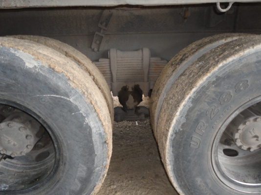 ISUZU  FVZ 240 TURBO  เล่มทะเบียนพร้อมค่ะ