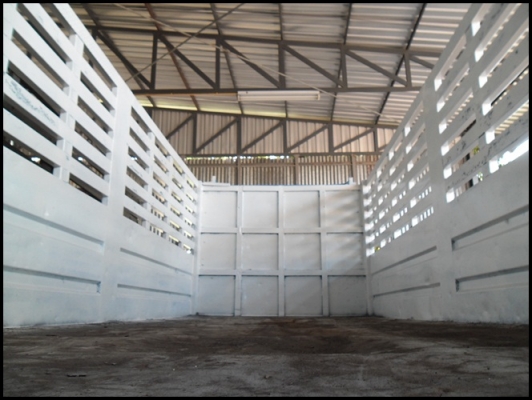 สิบล้อ F 18 ดั้ม เพลาเดียว สภาพสวยๆ ราคาเบาๆ