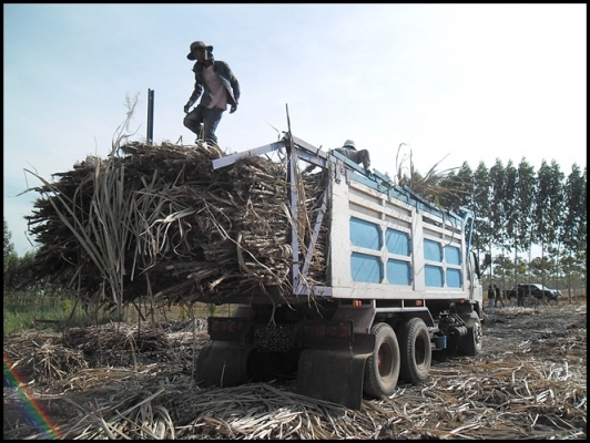 ฮีโน่ 227 วางหัวสิงไฮเทค สภาพสวยมาก