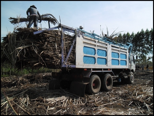 ฮีโน่ 227 วางหัวสิงไฮเทค สภาพสวยมาก