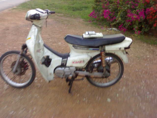 ดรีมเก่าปี31ทะเบียนโอน