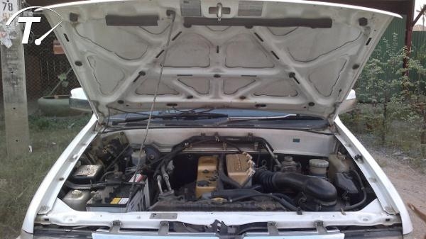 ขายมังกรแคป หน้าย้อย พาวเวอร์แท้ ปี 96 สวยเดิมๆ โทร 081-142-7881 ตุ้ย