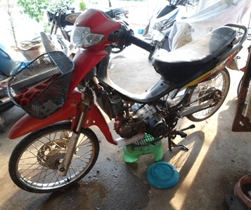 ขายเวบ 100