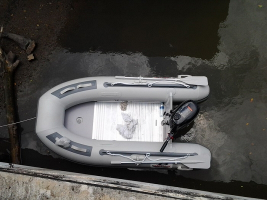 ขายเรือยาง noahyacht250