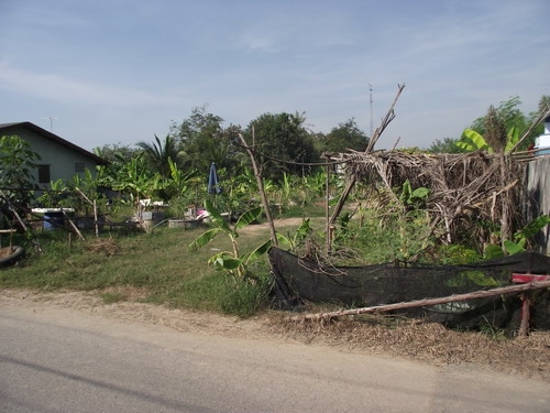 ขายที่ดิน 3งาน