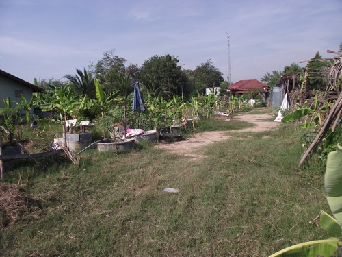 ขายที่ดิน 3งาน