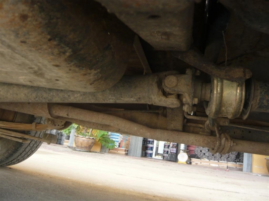 ม้ากระโดดพร้อมลุย ทะเบียนไม่ขาด เอกสารพร้อมโอน