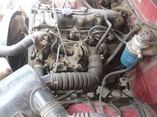 ม้ากระโดดพร้อมลุย ทะเบียนไม่ขาด เอกสารพร้อมโอน