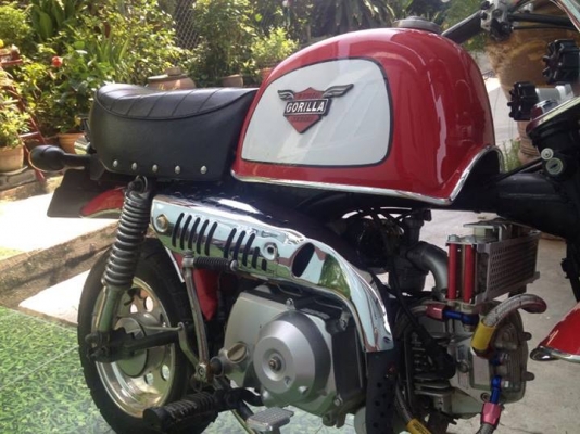 ขายกอลิล่า 125cc แต่งแนวๆ ปรับราคาลง