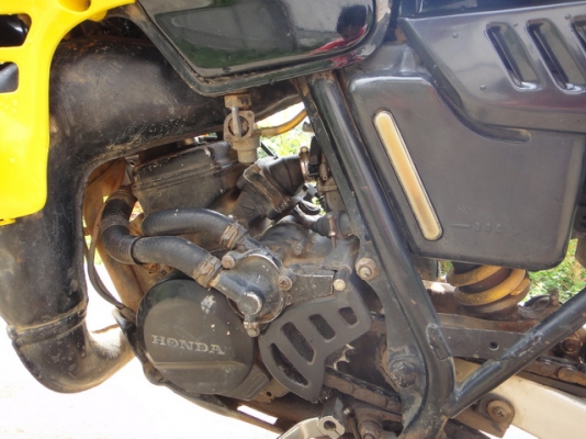 ขายวิบากในตำนาน HONDA MTX 125 ขายวิบากในตำนาน HONDA MTX 125