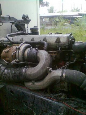 ขายฮีโน่แม็กก้า