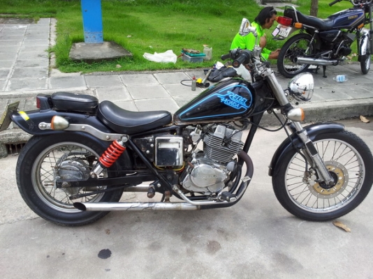 Rebel 250 ทะเบียนภาษีพี่งขาดต่อ Rebel 250 ทะเบียนภาษีพี่งขาดต่อ