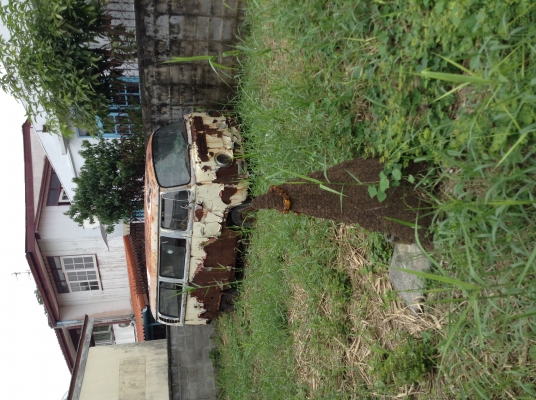 ขาย ซากแตงโม