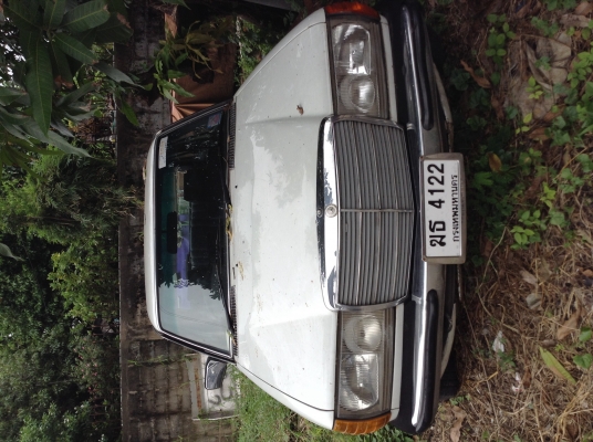 ขาย ซากแตงโม ขาย ซากแตงโม