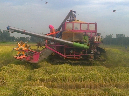 ขายด่วน