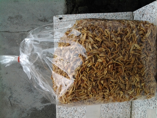 ของทะเลแห้งสดๆจากหนองมน