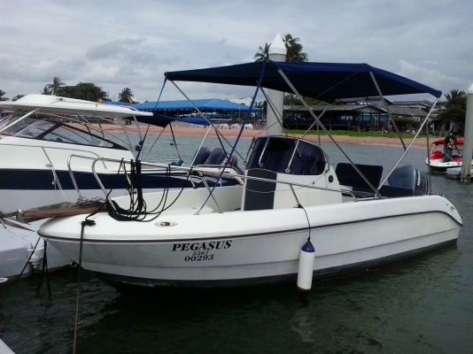 ขายเรือไฟเบอร์ 24 ฟุต