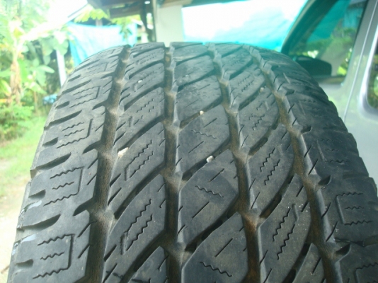 ขายแล้วครับขอบคุณพี่เสือและทีมงานมากๆครับ