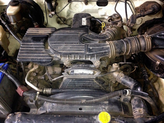 ขายTIGER ตอนเดียว 2.4 ปี44/01 เครื่องเดิมเกียร์เดิม หน้า-หลังเดิม ไม่เคยชนหนัก ช่วงล่างแน่น คัสซีสวย ยางดี4เส้น พื้นปูกระบะ พ.พาวเวอรฺ์ แอร์ เครื่องดีติดง่าย แรง พร้อมใช้งาน เอกสารครบ ราคาต่อรองได้เด้อ พี่น้องครับ