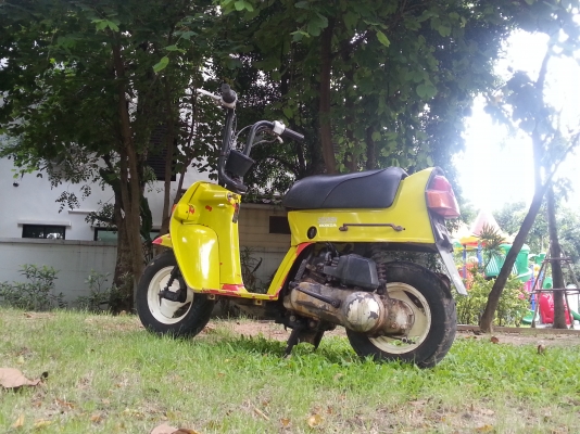 ขาย Honda Squash เดิมๆ สวยๆ