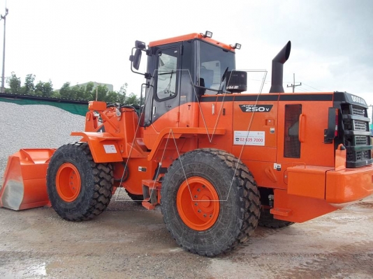 ประกาศนี้ ซื้อขายแล้ว! ประกาศนี้ ซื้อขายแล้ว!