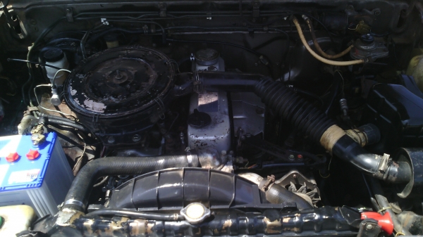 ขายนิสสัน บิ้กเอ็ม เครื่องฝาขาว ปี33 มีคอกสูง