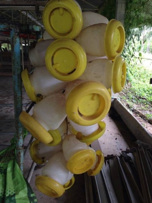 ขายอุปกรณ์เลี้ยงไก่เล็ก หลายอย่าง สนใจ สอบถามได้ครับ ขายอุปกรณ์เลี้ยงไก่เล็ก หลายอย่าง สนใจ สอบถามได้ครับ