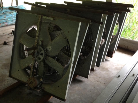 ขายอุปกรณ์เลี้ยงไก่เล็ก หลายอย่าง สนใจ สอบถามได้ครับ ขายอุปกรณ์เลี้ยงไก่เล็ก หลายอย่าง สนใจ สอบถามได้ครับ