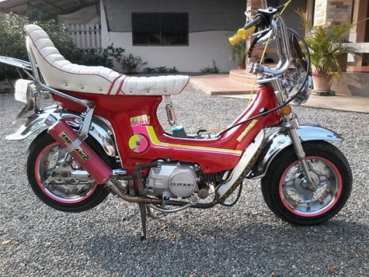 ขายชาลีเครื่อง Lifan125 อินวอยล์พร้อมออกใบซื้อขาย แนวยุ่นๆเครื่องสมบูรณ์รถพร้อมใช้