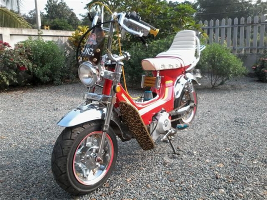 ขายชาลีเครื่อง Lifan125 อินวอยล์พร้อมออกใบซื้อขาย แนวยุ่นๆเครื่องสมบูรณ์รถพร้อมใช้