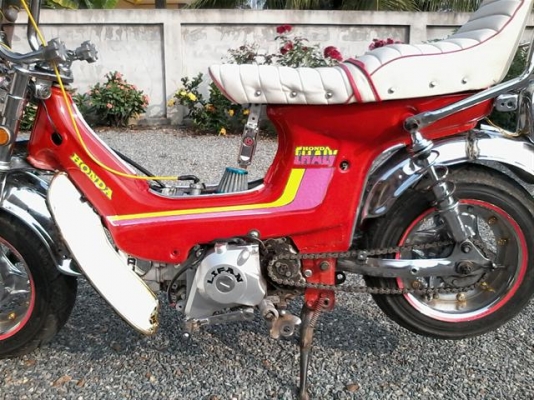 ขายชาลีเครื่อง Lifan125 อินวอยล์พร้อมออกใบซื้อขาย แนวยุ่นๆเครื่องสมบูรณ์รถพร้อมใช้