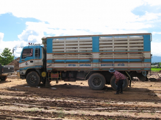 ลงใหม่อีกรอบครับ ( ISUZU DECA 320 FZX ) ปี 50  เจ้าของขายเอง