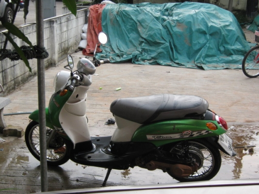 ยามาอ่า  ฟีโน่  สภาพสวย