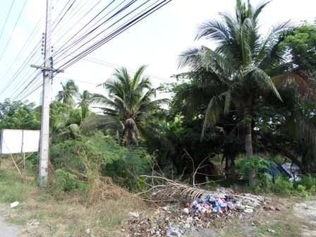 ขายที่ดิน 8 ไร่ ติดถนนพหลโยธิน สระบุรี - ลพบุรีหน้ากว้าง 40-50 เมตร ขายที่ดิน 8 ไร่ ติดถนนพหลโยธิน สระบุรี - ลพบุรีหน้ากว้าง 40-50 เมตร