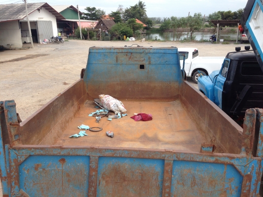 ขายรถ6ล้อดั้มหัวยาว สภาพพร้อมใช้งาน เครื่อง 6bb เฟืองถ้ายใหญ่ เล่มทะเบียนมี ภาษีไม่ขาด ราคาต่อรองได้ รถใช้งานอยู่